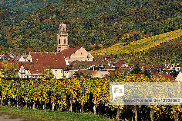 Dorf Riquewihr in seinem Weinberg im Herbst