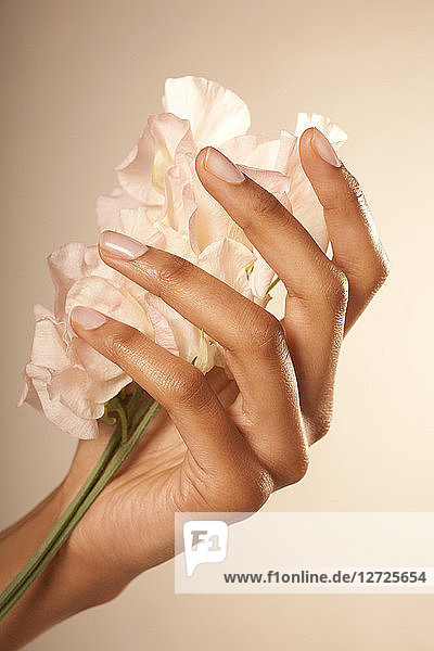 Frau Hand Schönheit Blume