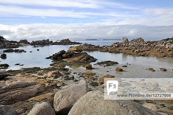 France  Brittany  Cotes-d'Armor department  Ploumanach rocks on the Pink Granite Coast in Perros-Guirec  shellfish in the bay of Saint Guirec.
