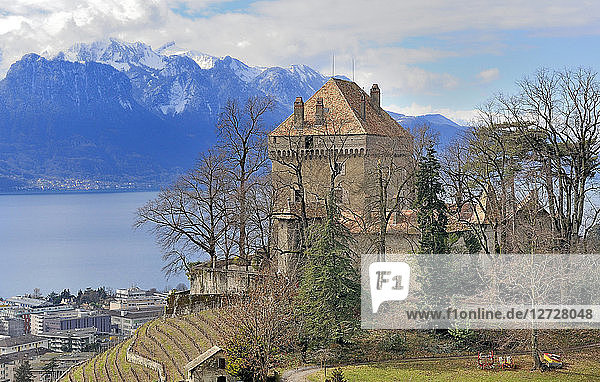 Schweiz  Montreux  Weinbau-Schloss über dem Genfer See