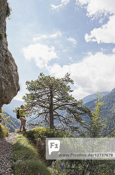 Italy  Trentino  Brenta Dolomites  Parco Naturale Adamello-Brenta  hiker taking photos of mountain scenery with mobile phone