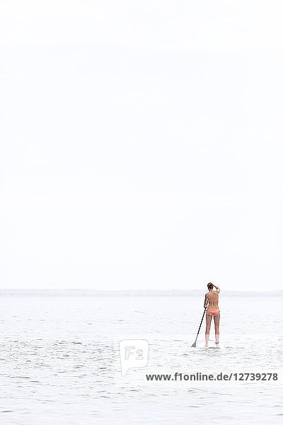 Mauritius  young woman on stand up paddling board