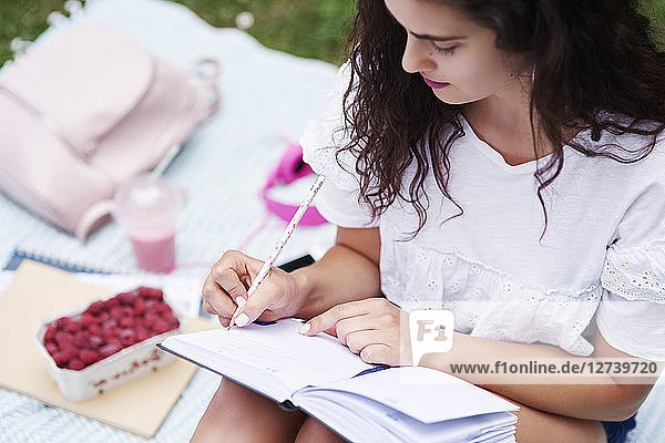 Young woman sitting on blanket on a meadow writing in notebook