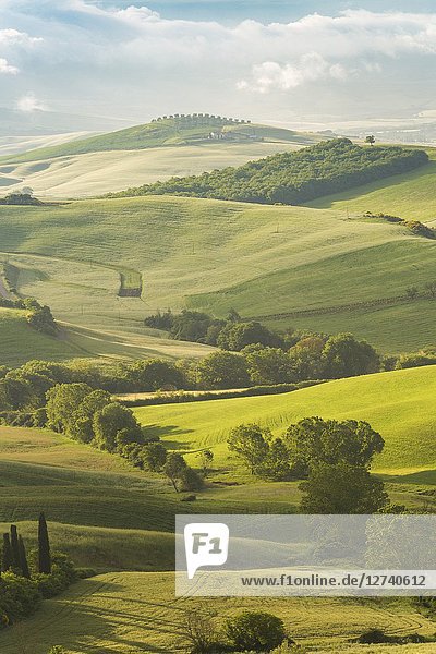 Rolling hills in Orcia valley  Siena province  Tuscany  Italy.