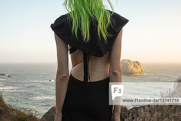 USA  California  West Coast  back view of young woman with dyed green hair looking to the sea