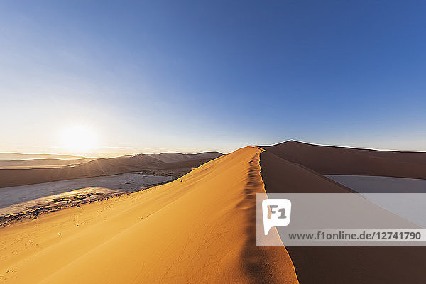 Africa  Namibia  Namib desert  Naukluft National Park  sand dune 'Big daddy'