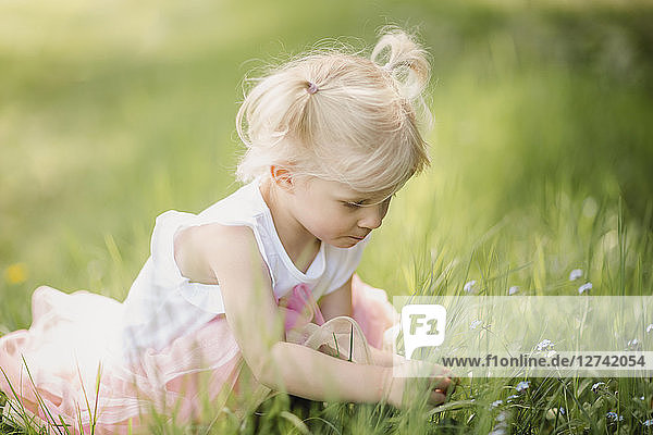 Blond little girl picking flowers on a meadow
