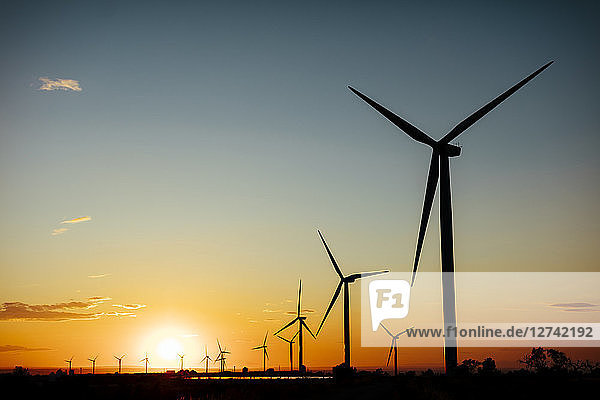 Spain  wind farm at sunset
