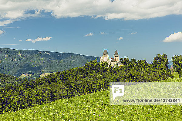 Austria  Lower Austria  Neunkirchen District  Burg Wartenstein