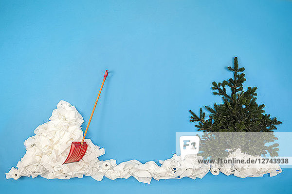 Shovel in snow with fir tree