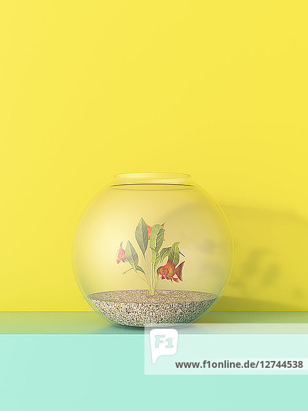 3D rendering  Goldfish bowl on shelf against yellow background