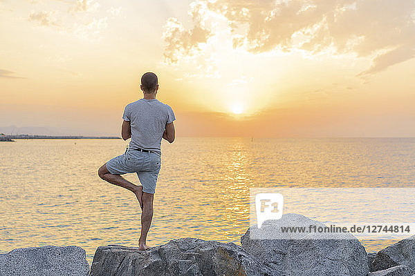Spain. Man doing yoga during sunrise on rocky beach  tree position  rear view