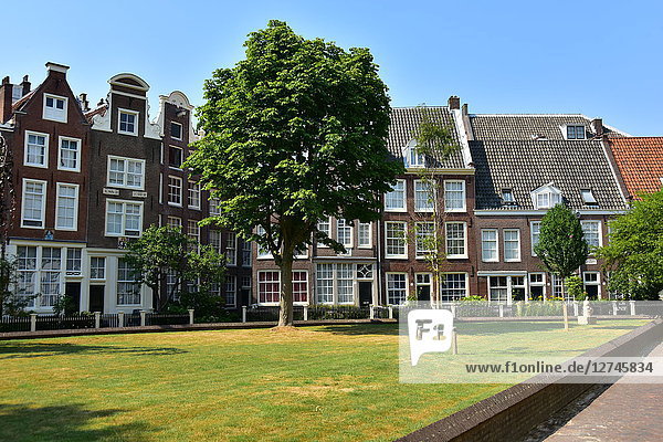Begijnhof, Amsterdam, Niederlande, Europa