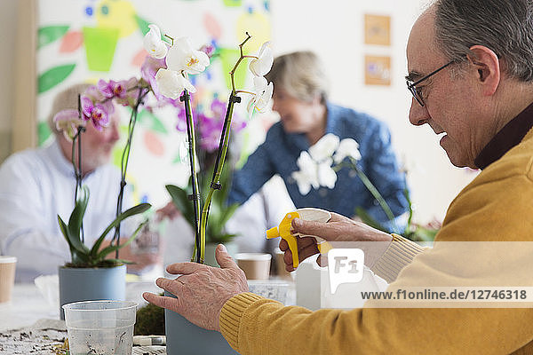 Active senior man with spray bottle watering orchid in flower arranging class