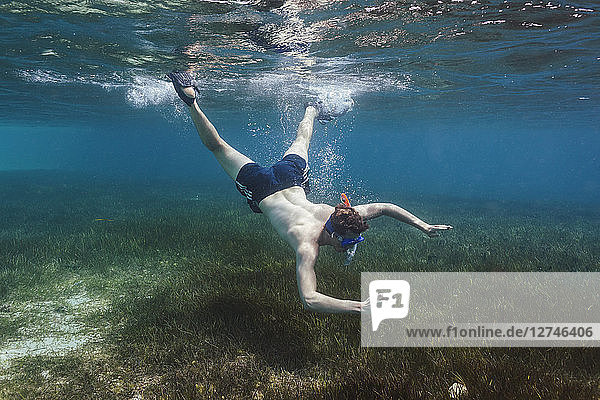 Junger Mann beim Schnorcheln unter Wasser  Vava'u  Tonga  Pazifischer Ozean