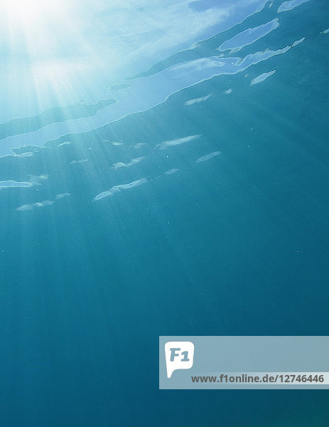 Ruhige Sonnenstrahlen leuchten unter Wasser im blauen Ozean  Vava'u  Tonga  Pazifischer Ozean