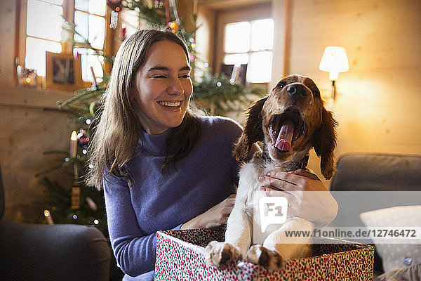 Happy teenage girl with yawning dog in Christmas gift box