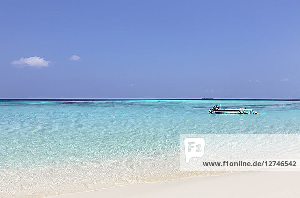 Boot vor Anker im sonnigen  ruhigen Meer  Malediven  Indischer Ozean