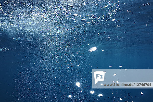 Sunlight and bubbles underwater in blue ocean  Fiji  Pacific Ocean