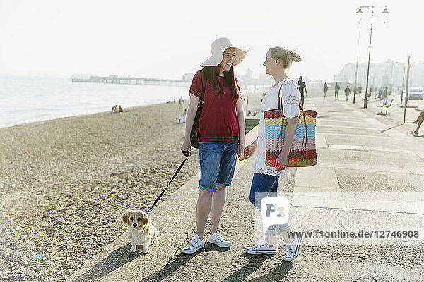 Lesbian couple with dog on sunny beach boardwalk