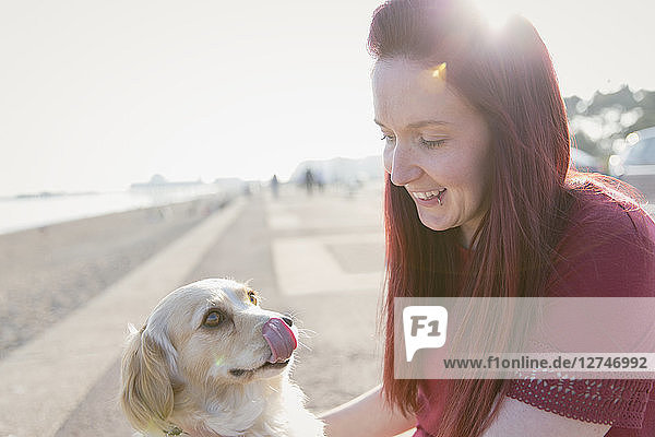 Woman with cute dog on sunny beach boardwalk