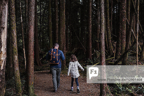 Father and daughter hiking in forest  Tofino  Canada