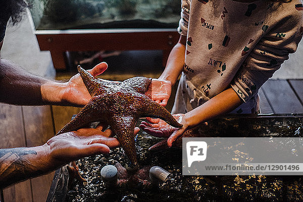Father and daughter holding out starfish in aquarium