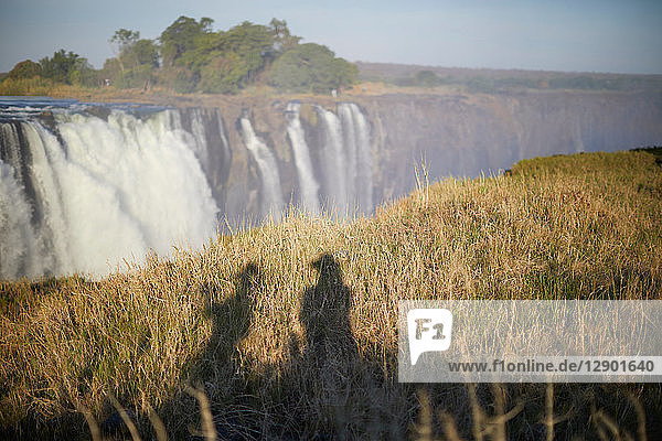 Schatten von Touristen auf Gras  Victoriafälle  Simbabwe