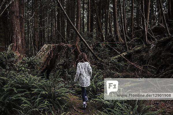 Mädchen wandert im Wald  Tofino  Kanada