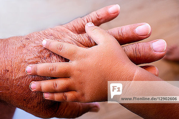 Hand of baby on man's hand