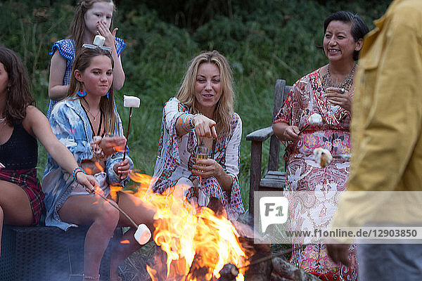 Freunde toasten Marshmallows bei Lagerfeuer-Party im Park