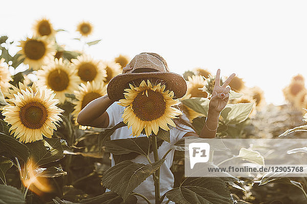 Sunflower with hat