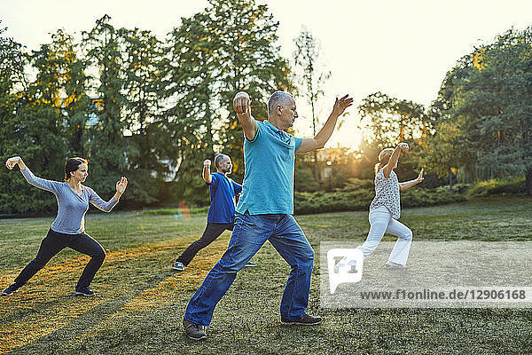 Group of people doing Tai chi in a park