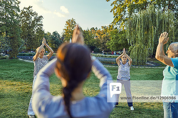 Group of people doing Tai chi in a park