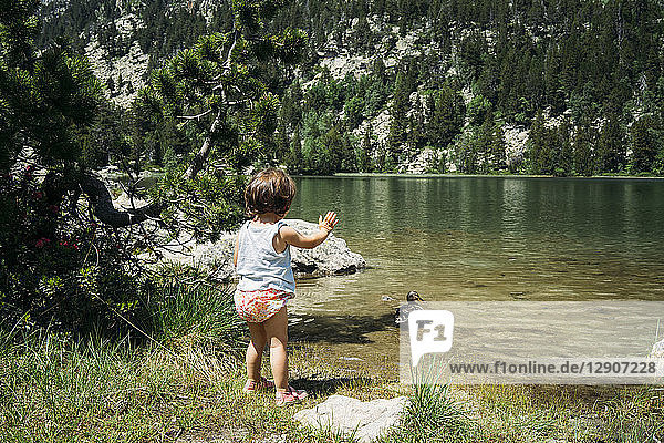 Spain  Little girl standing at mountain lake waving at a duck