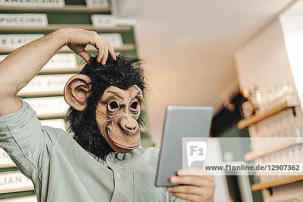 Man wearing monkey mask  using digital tablet  scratching head