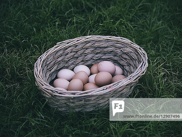 Basket of brown eggs on a meadow