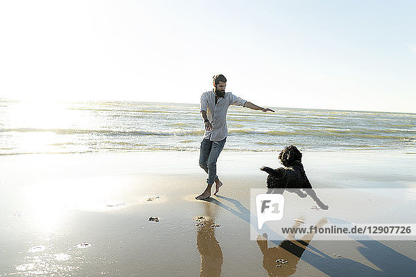 Young man running and playing with his dog on the beach