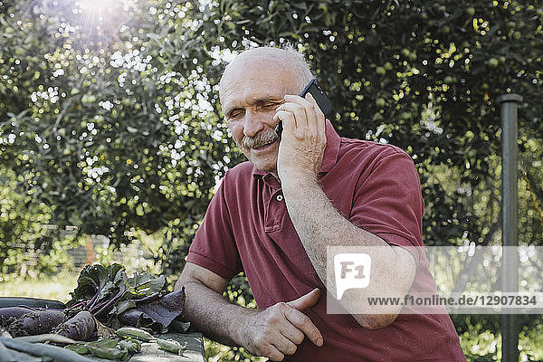 Portrait of smiling senior man on the phone in the garden