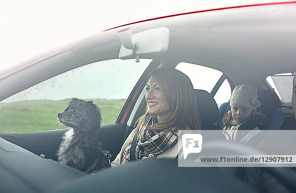 Happy family with small dog in car