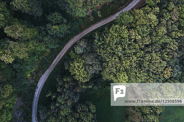Austria  Lower Austria  Vienna Woods  Biosphere Reserve Vienna Woods  Aerial view of dirt road and forest in the early morning