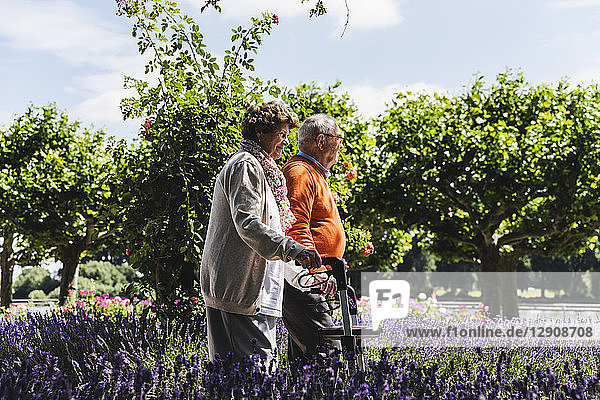 Senior couple walking in park  woman using wheeled walker
