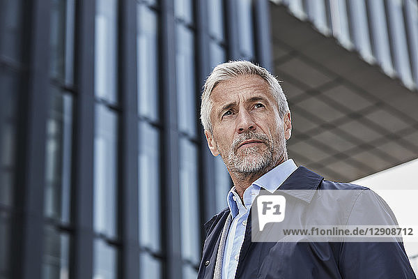 Portrait of mature businessman with grey hair and beard