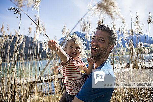 Austria  Tyrol  Walchsee  happy father carrying daughter in reeds at the lakeshore
