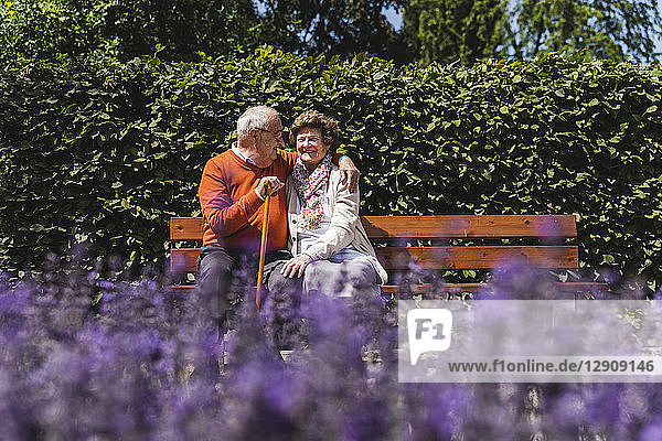Senior couple sitting on bench in a park  falling in love