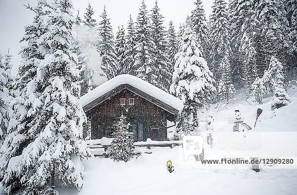 Austria  Altenmarkt-Zauchensee  snowman  sledges and Christmas tree at wooden house in snow