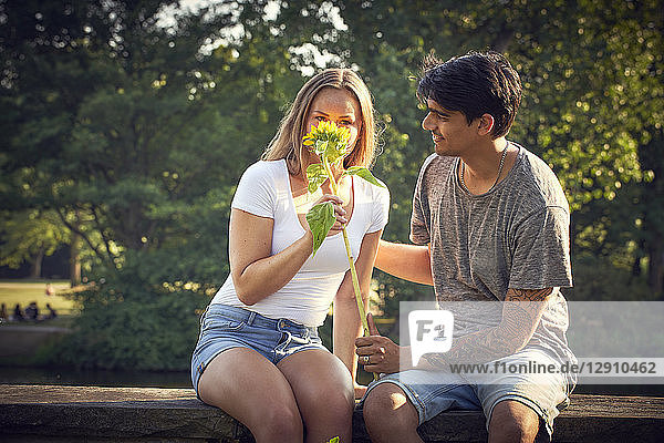Romantic young couple sitting on wall in a park  woman smelling sunflower