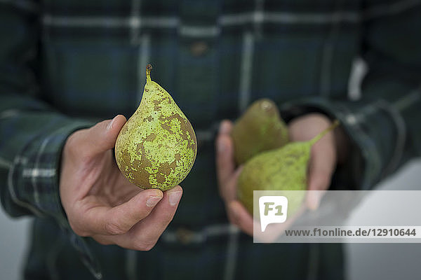 Man's hand holding pear  close-up