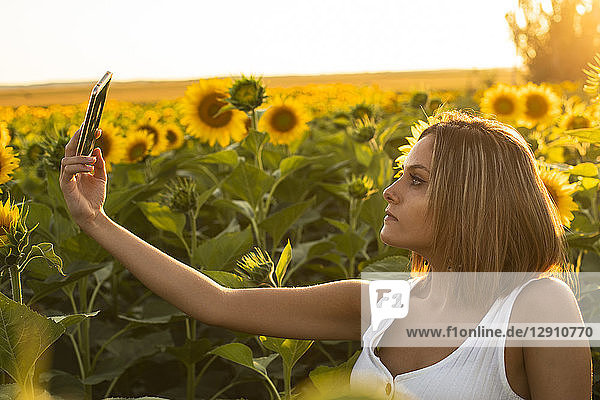 Young woman in a field of sunflowers taking a selfie