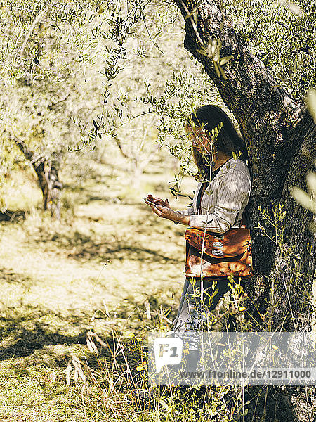 Italy  woman leaning against olive tree using cell phone